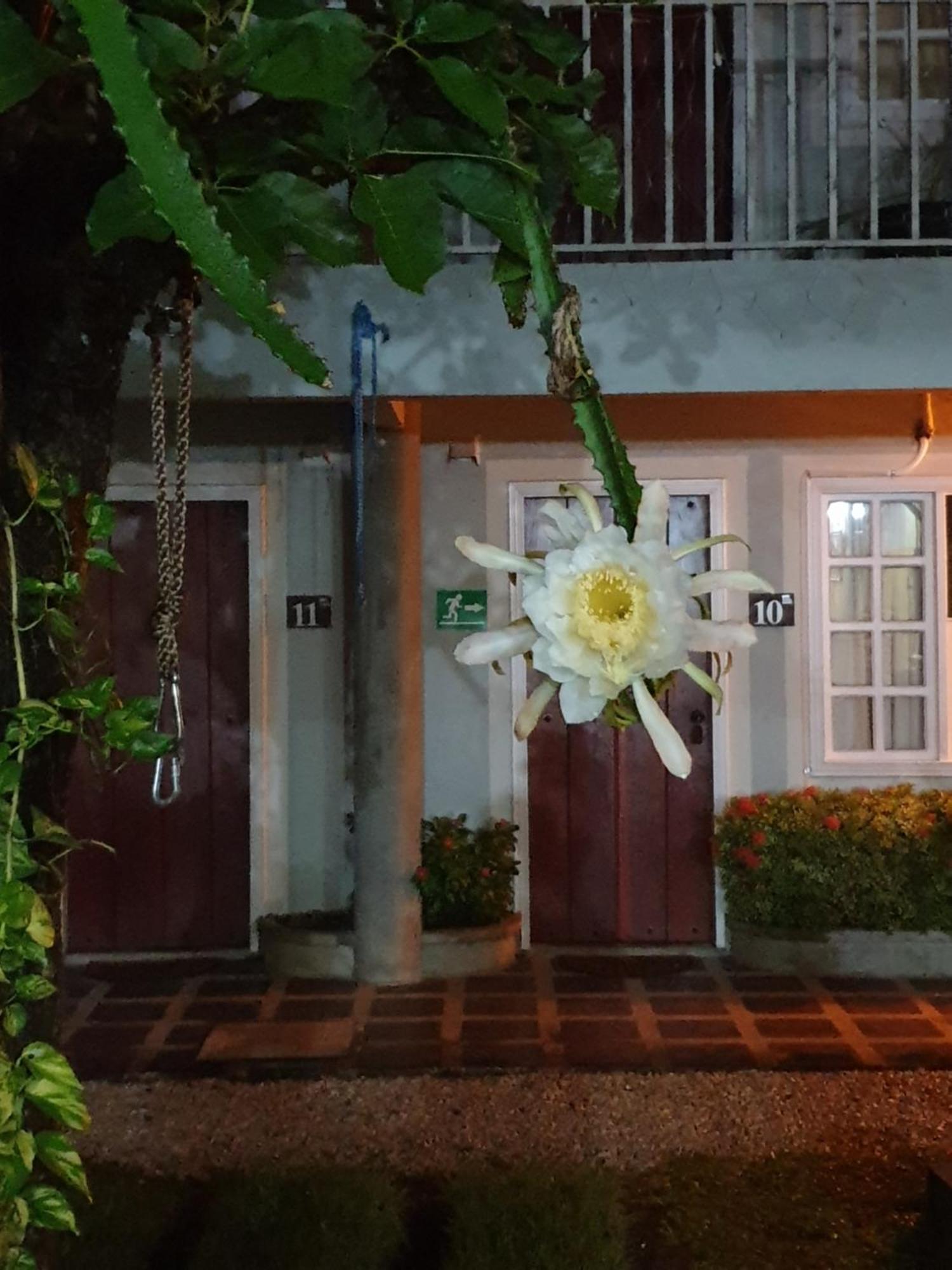 Hotel Liberia Exteriér fotografie