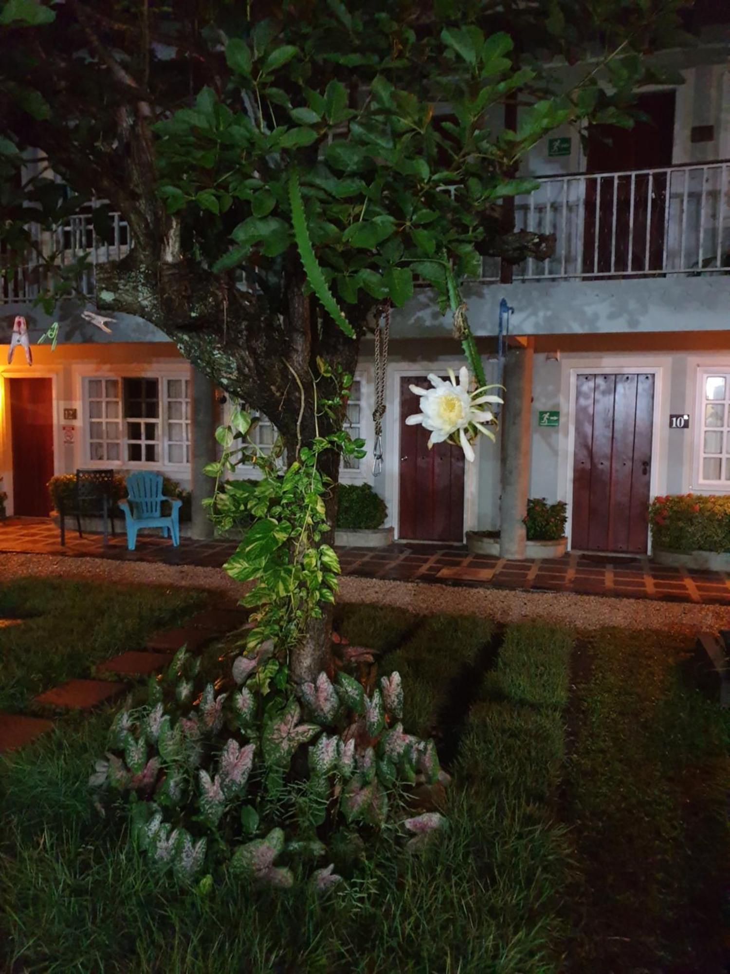 Hotel Liberia Exteriér fotografie